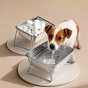 2000ml Stainless Steel Dog Bowl – Elevated Tilted Neck-Relief Feeder