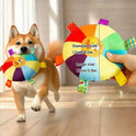 Interactive Squeaky Dog Toy | Plush Chew Toy for Puppies & Dogs