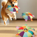 Interactive Squeaky Dog Toy | Plush Chew Toy for Puppies & Dogs