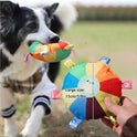 Interactive Squeaky Dog Toy | Plush Chew Toy for Puppies & Dogs