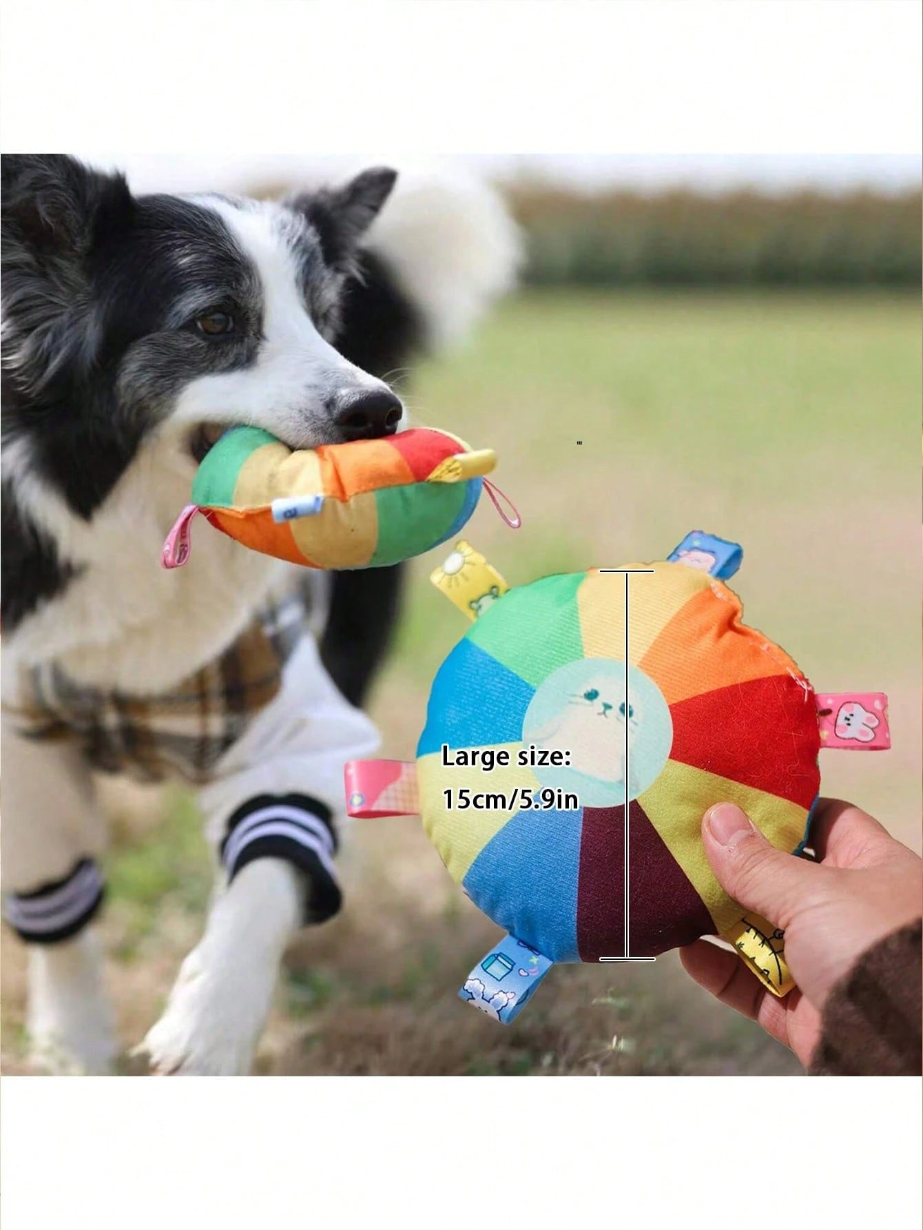 Interactive Squeaky Dog Toy | Plush Chew Toy for Puppies & Dogs