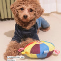 Interactive Squeaky Dog Toy | Plush Chew Toy for Puppies & Dogs