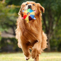 Interactive Squeaky Dog Toy | Plush Chew Toy for Puppies & Dogs