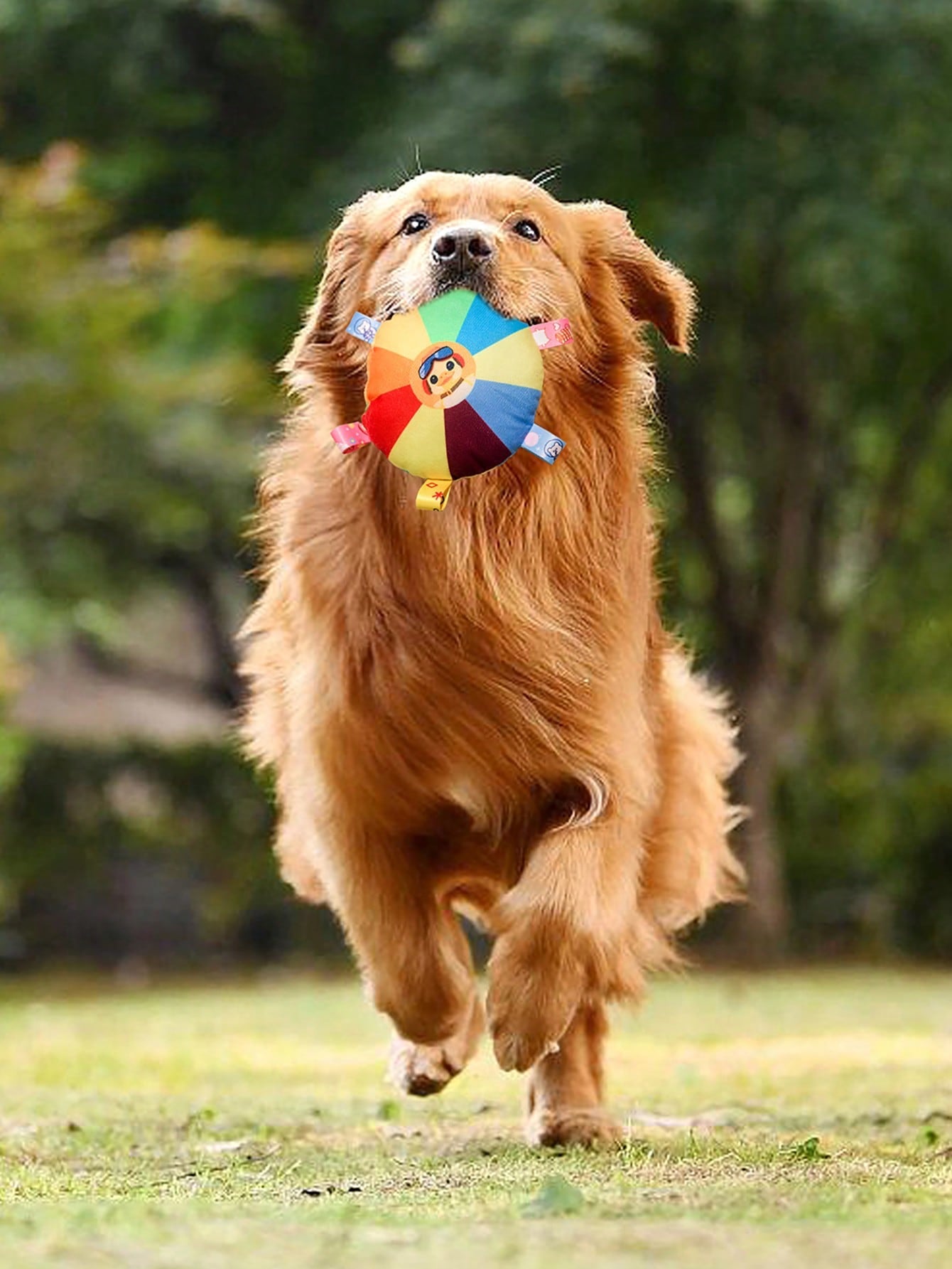 Interactive Squeaky Dog Toy | Plush Chew Toy for Puppies & Dogs