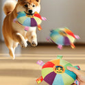 Interactive Squeaky Dog Toy | Plush Chew Toy for Puppies & Dogs