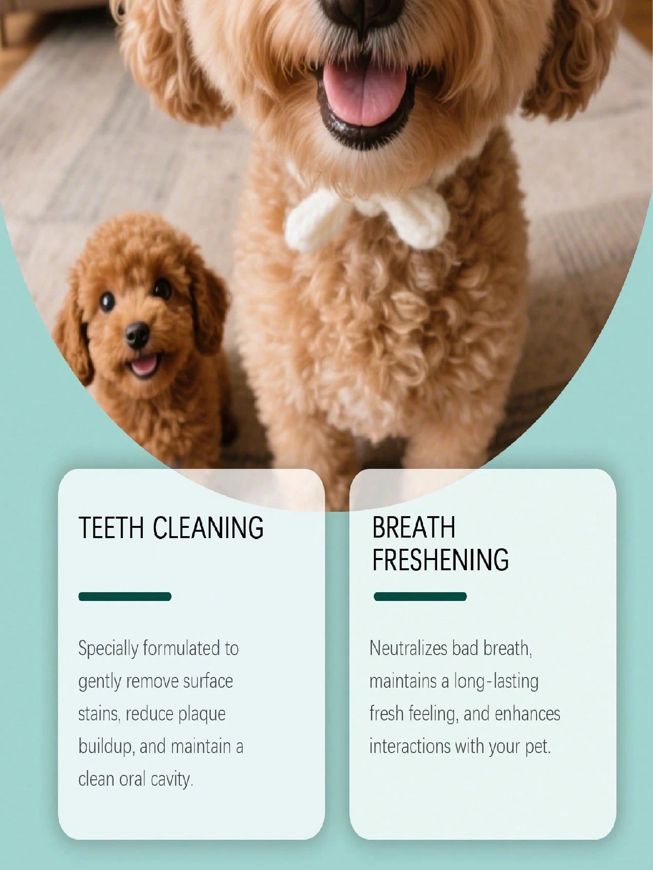 Dog Tooth Cleaning Powder – Daily Dental Care for Fresh Breath & Clean Teeth