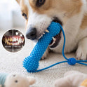 Rope Dog Chew Toy & Toothbrush – Interactive Dental Cleaning Toy
