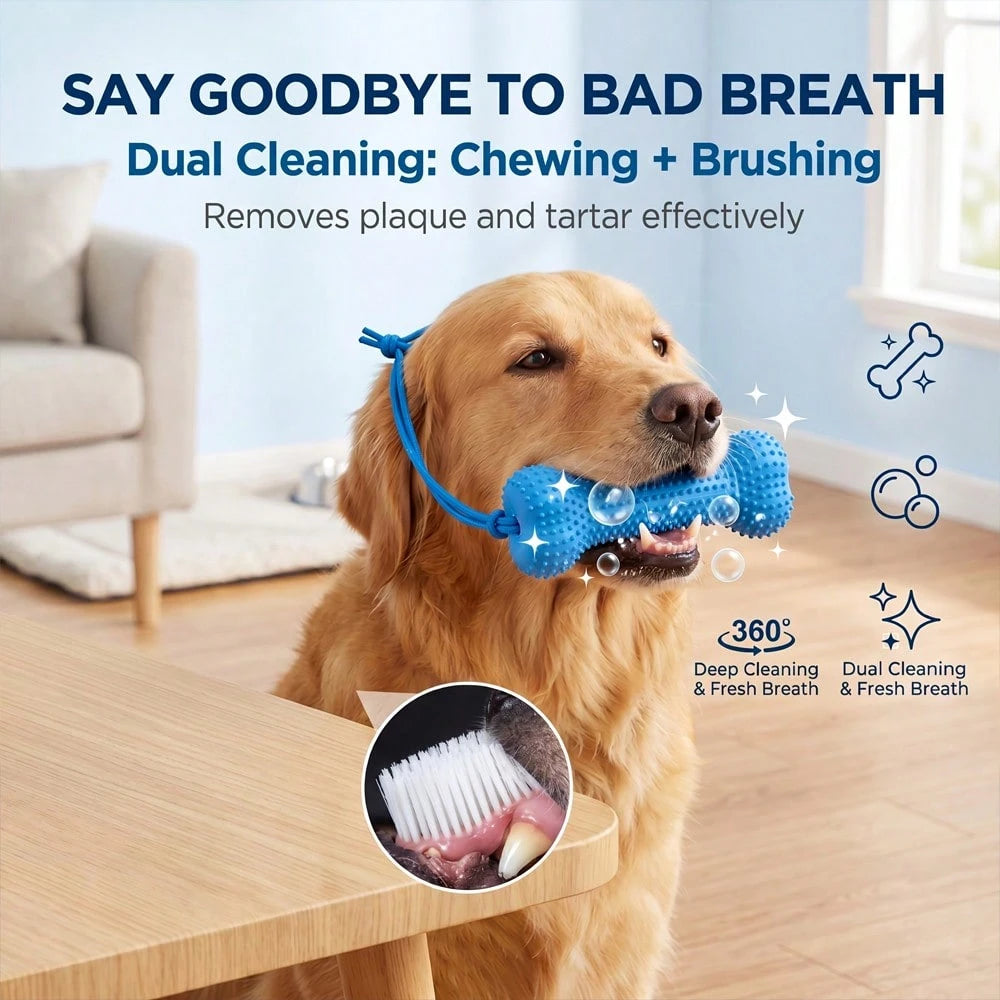 Rope Dog Chew Toy & Toothbrush – Interactive Dental Cleaning Toy
