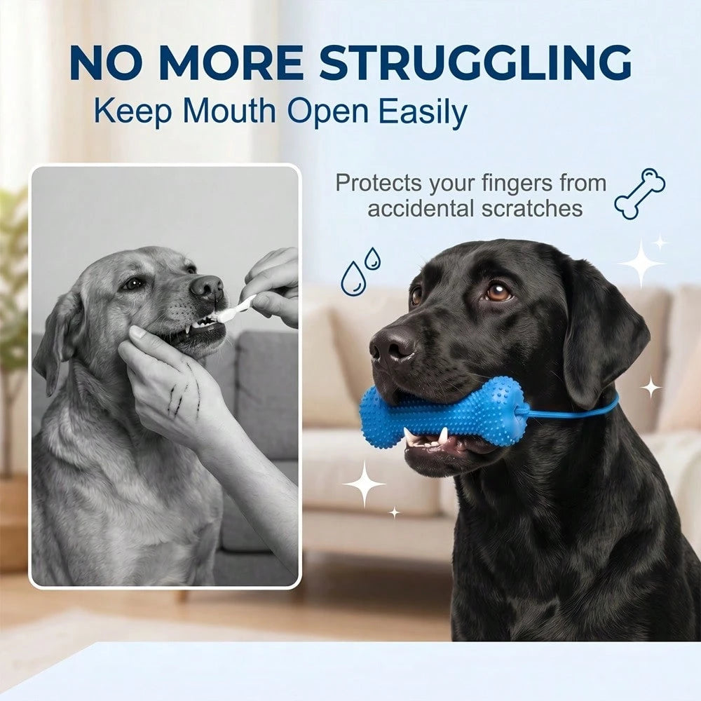 Rope Dog Chew Toy & Toothbrush – Interactive Dental Cleaning Toy