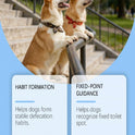 Dog Potty Training Spray | Housebreaking Aid for Dogs & Puppies