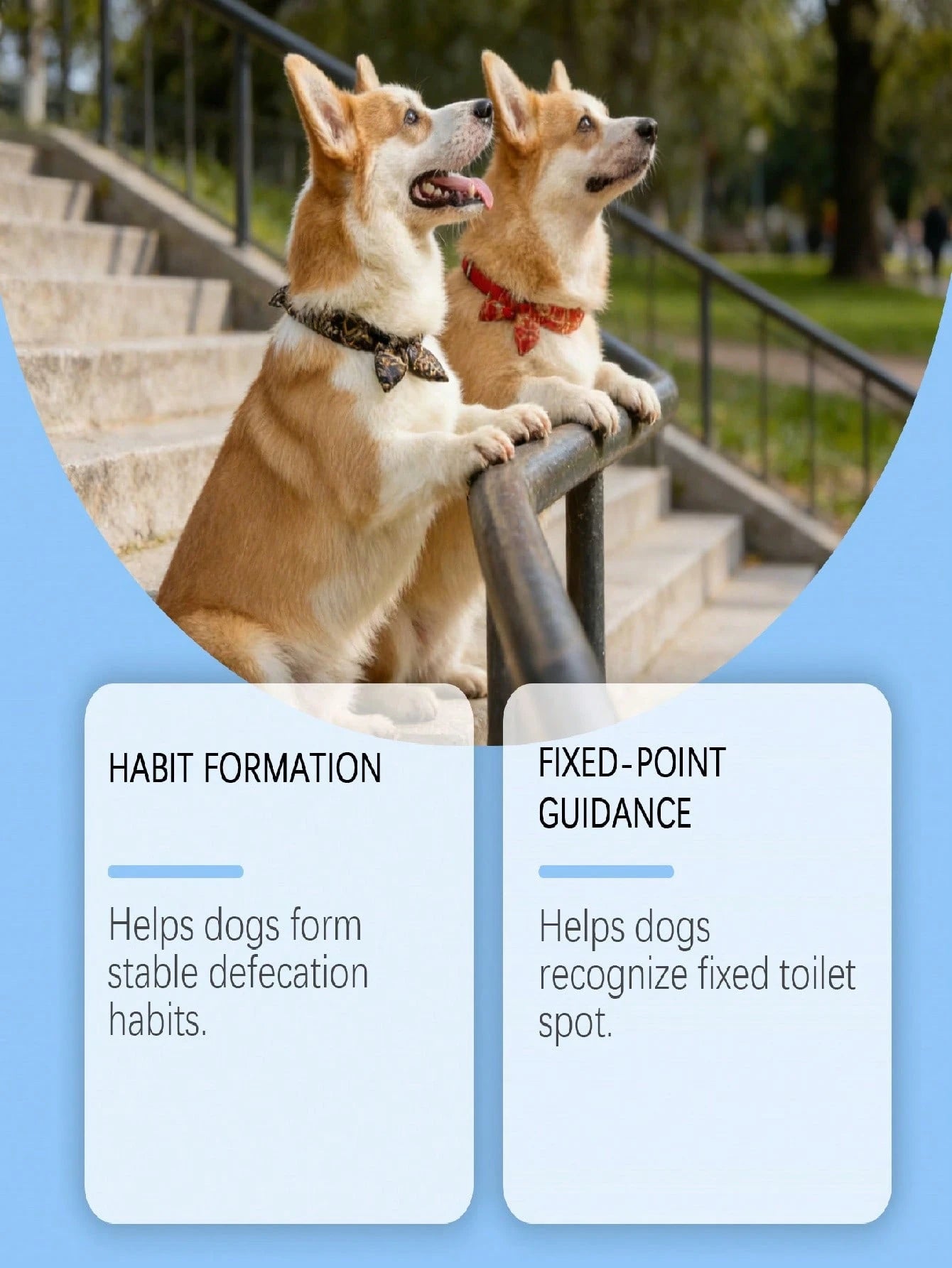 Dog Potty Training Spray | Housebreaking Aid for Dogs & Puppies