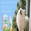 Dog Potty Training Spray | Housebreaking Aid for Dogs & Puppies