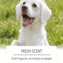 Dog Potty Training Spray | Housebreaking Aid for Dogs & Puppies