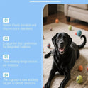 Dog Potty Training Spray | Housebreaking Aid for Dogs & Puppies