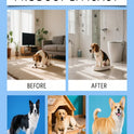 Dog Potty Training Spray | Housebreaking Aid for Dogs & Puppies