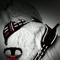 Reflective No-Pull Dog Harness – Durable Vest for Medium & Large Dogs