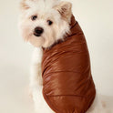 PETSIN Winter Dog Coat – Warm Thermal-Lined Windproof Jacket for Large Dogs