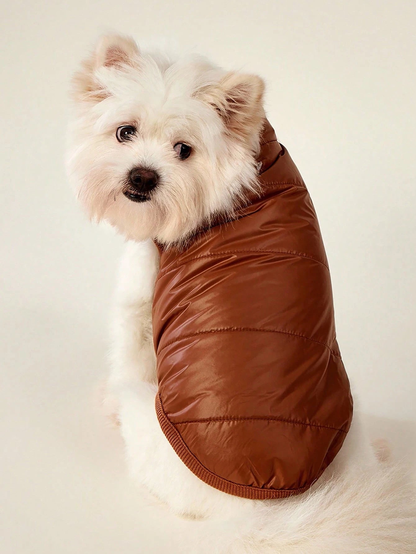PETSIN Winter Dog Coat – Warm Thermal-Lined Windproof Jacket for Large Dogs