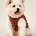 PETSIN Winter Dog Coat – Warm Thermal-Lined Windproof Jacket for Large Dogs
