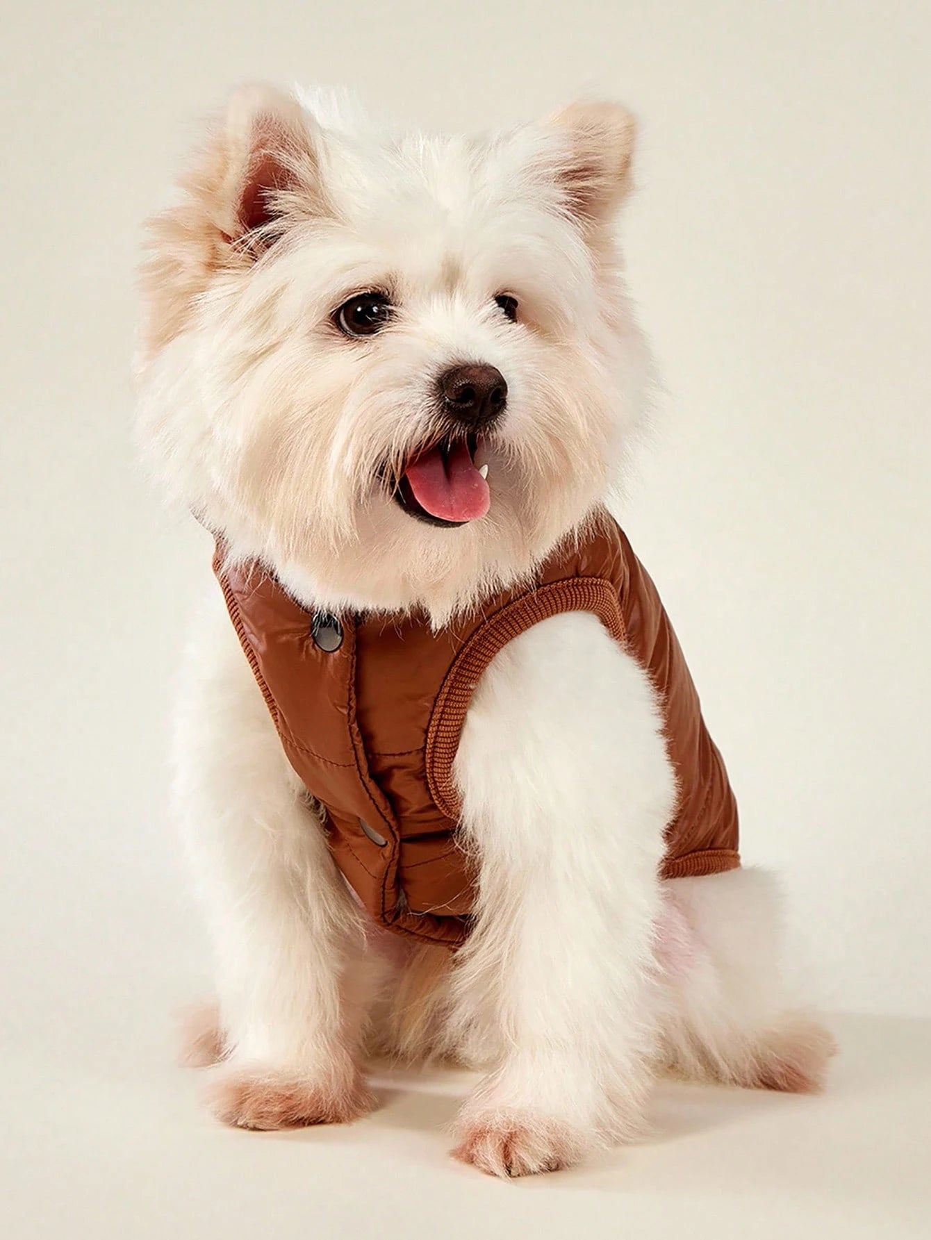 PETSIN Winter Dog Coat – Warm Thermal-Lined Windproof Jacket for Large Dogs