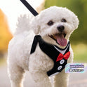 Pet Chest Harness & Leash Set – Adjustable Walking Harness for Small & Medium Dogs