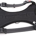 Breathable Mesh Dog Harness – Adjustable, Soft Padded, No-Pull Pet Vest for Ultimate Comfort