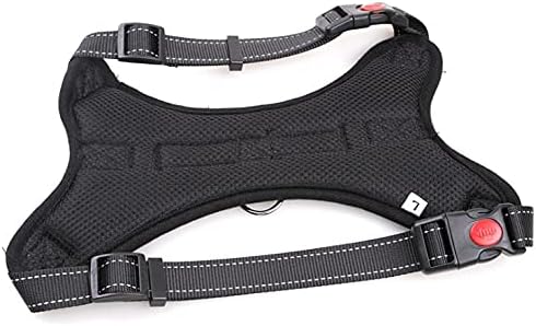Breathable Mesh Dog Harness – Adjustable, Soft Padded, No-Pull Pet Vest for Ultimate Comfort