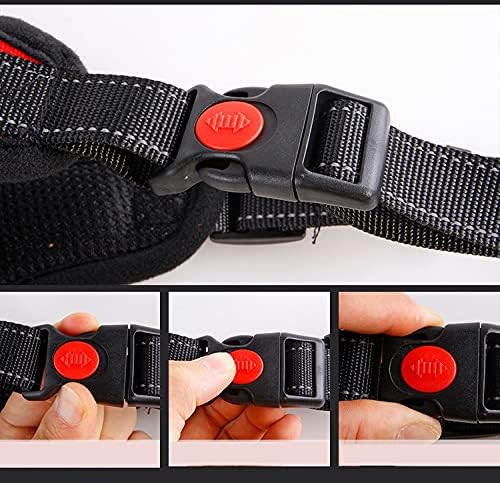 Breathable Mesh Dog Harness – Adjustable, Soft Padded, No-Pull Pet Vest for Ultimate Comfort