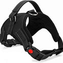 Breathable Mesh Dog Harness – Adjustable, Soft Padded, No-Pull Pet Vest for Ultimate Comfort