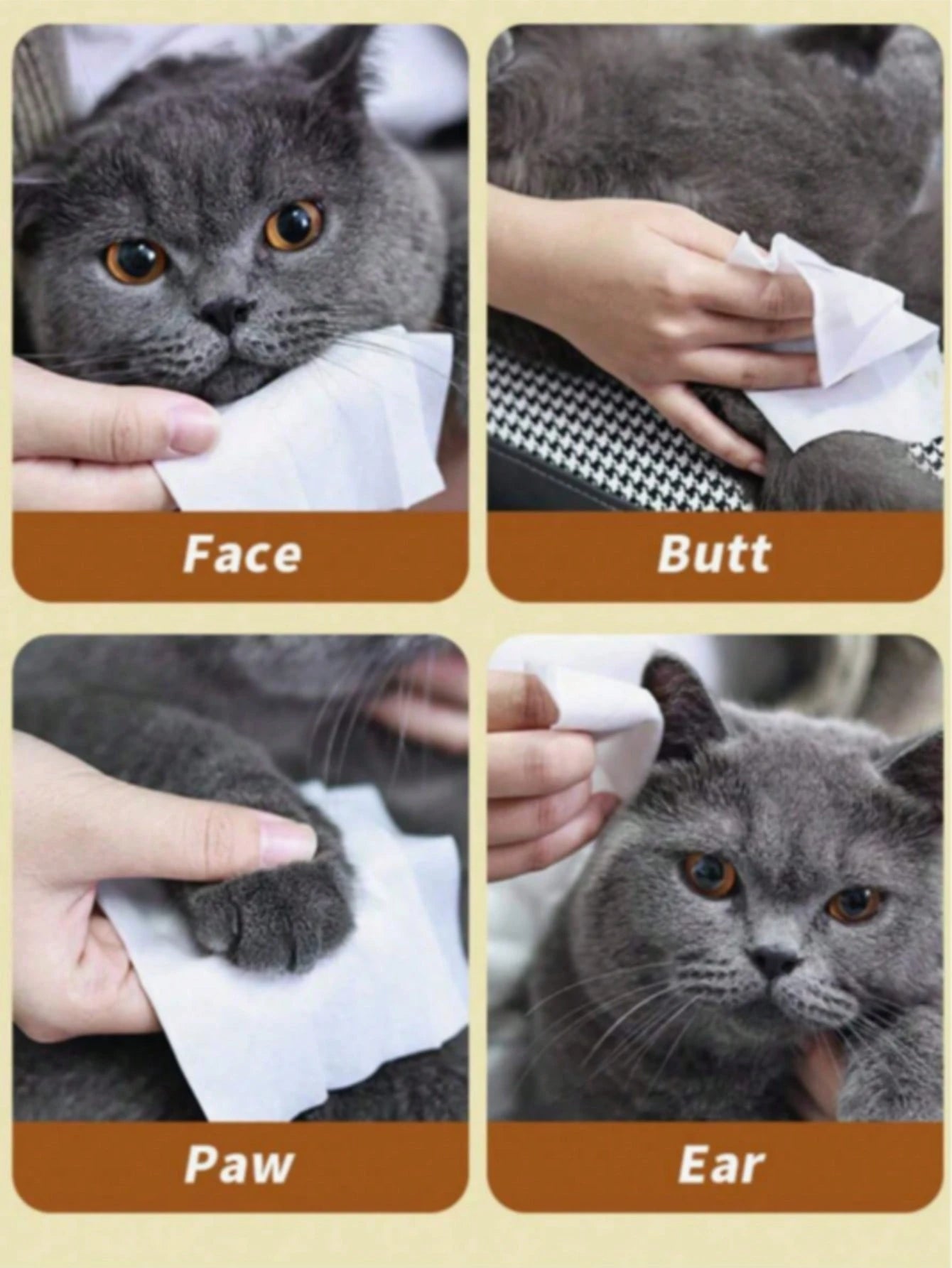 Pet Cleaning Wet Wipes | Alcohol-Free Grooming Wipes for Dogs & Cats (12 pieces per back)