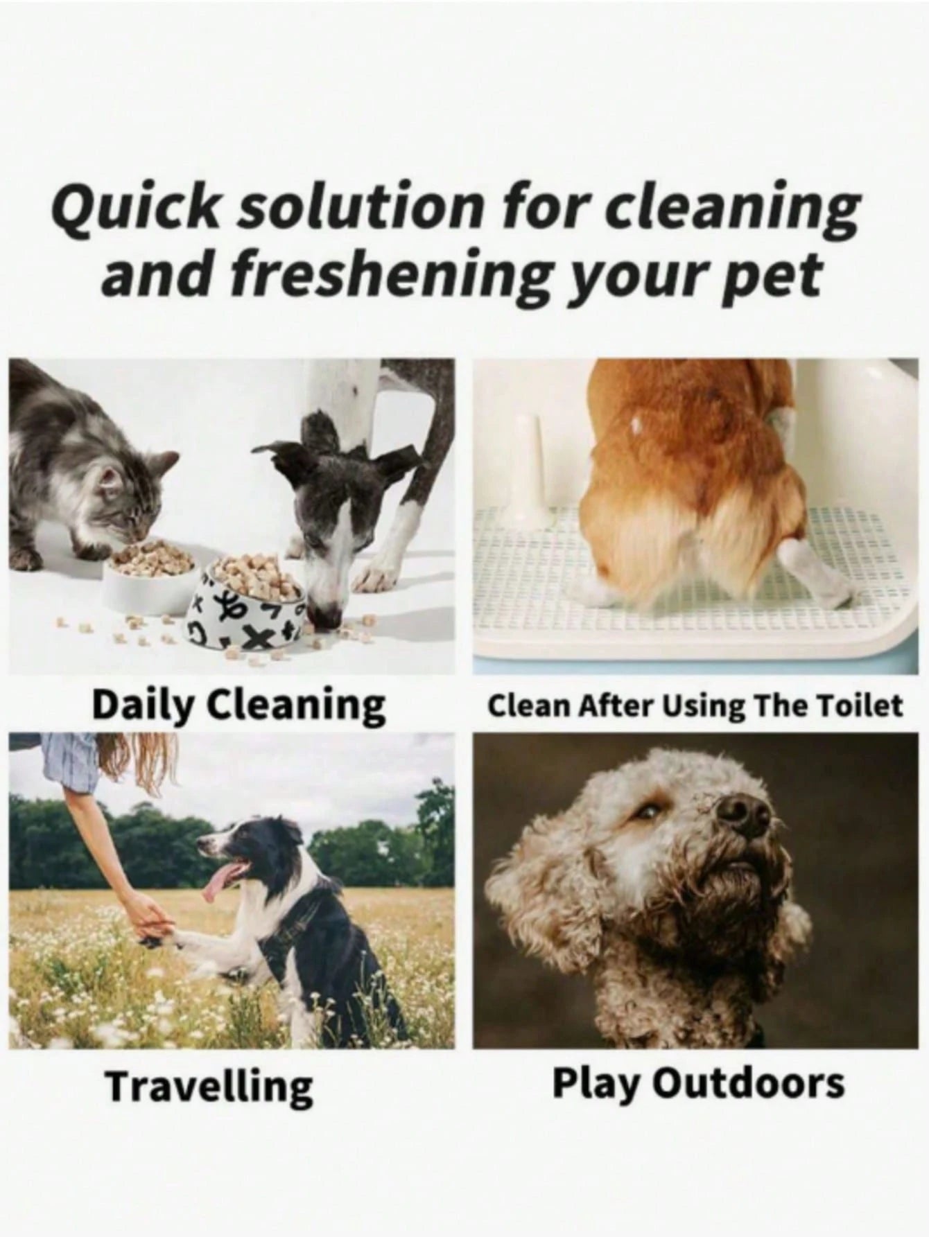 Pet Cleaning Wet Wipes | Alcohol-Free Grooming Wipes for Dogs & Cats (12 pieces per back)