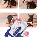 Pet Cleaning Wet Wipes | Alcohol-Free Grooming Wipes for Dogs & Cats (12 pieces per back)
