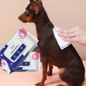 Pet Cleaning Wet Wipes | Alcohol-Free Grooming Wipes for Dogs & Cats (12 pieces per back)