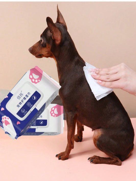 Pet Cleaning Wet Wipes | Alcohol-Free Grooming Wipes for Dogs & Cats (12 pieces per back)