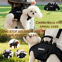 2-Way Pet Carrier Bag for Cats & Small Dogs – Crossbody Travel Bag