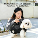 2-Way Pet Carrier Bag for Cats & Small Dogs – Crossbody Travel Bag