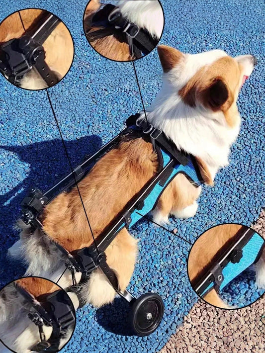 Dog Wheelchair Harness | Adjustable Hind Leg Support for Pets