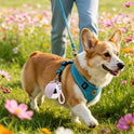 Portable Dog Water Bottle with Foldable Silicone Bowl | Leak-Proof Travel Water Dispenser