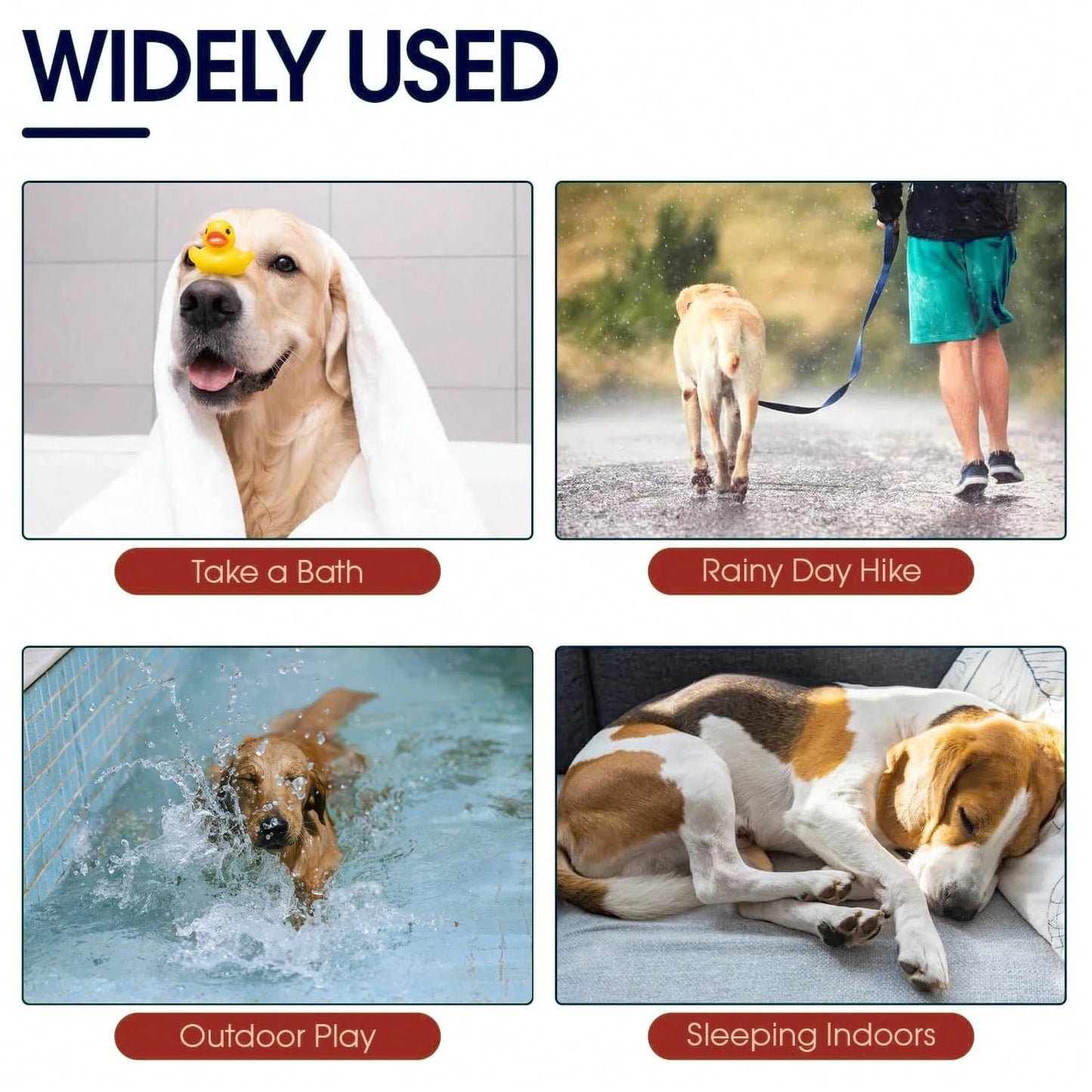 Hooded Dog Bathrobe & Quick-Dry Towel for Dogs & Cats