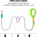 Hands-Free Dog Leash with Adjustable Waist Belt for Walking & Running