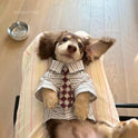 2-Piece Plaid Pet Shirt with Tie for Cats & Small Dogs