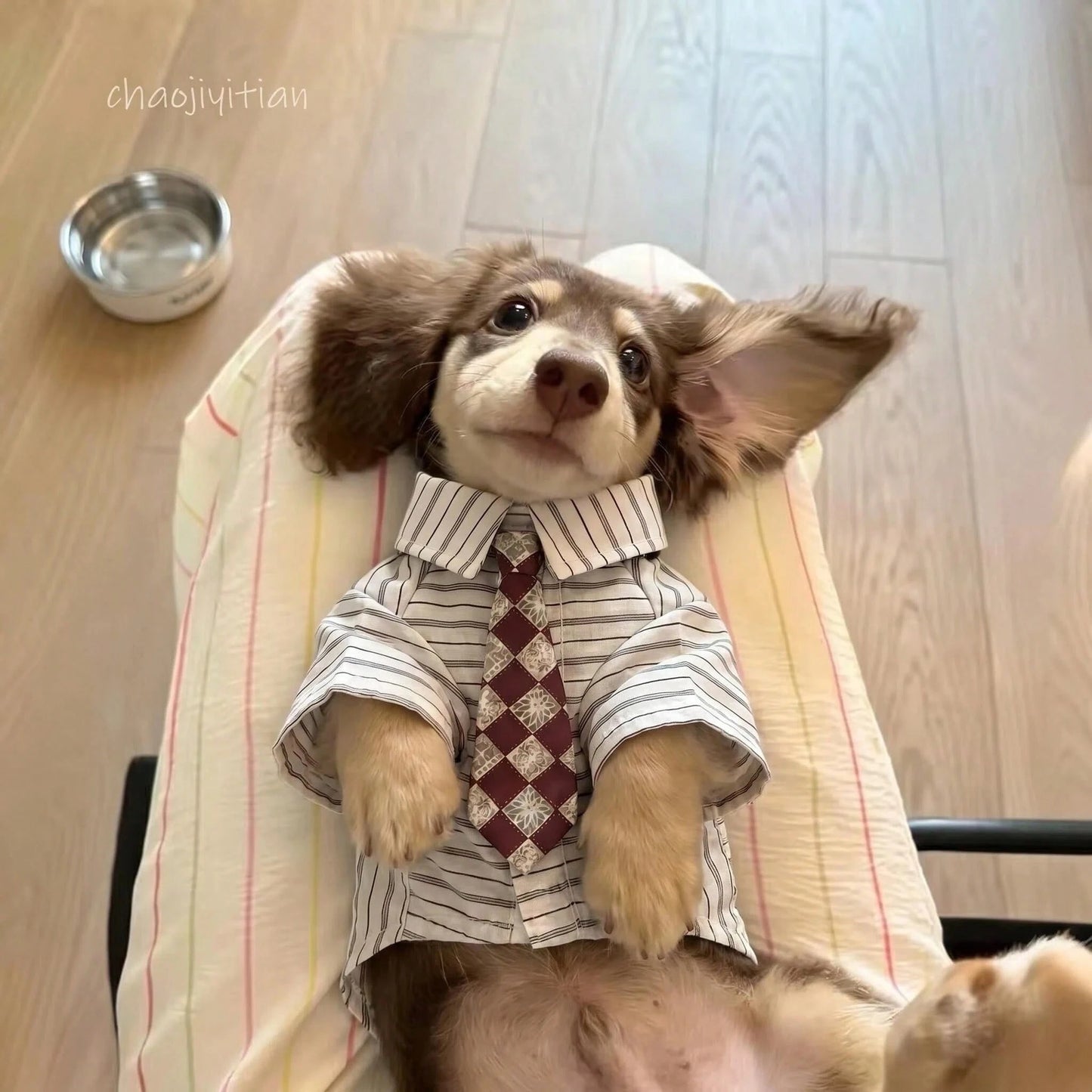 2-Piece Plaid Pet Shirt with Tie for Cats & Small Dogs