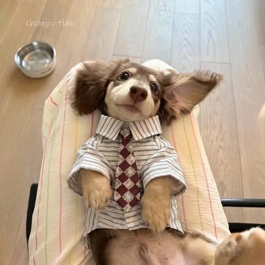 2-Piece Plaid Pet Shirt with Tie for Cats & Small Dogs