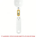 Digital Pet Food Scale 0.1g–500g for Accurate Pet Food Portions