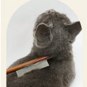 Wooden Pet Grooming Comb | Stainless Steel Dematting Comb