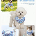 Pet Birthday Hat and Bib Set | Cute Cat & Dog Birthday Party Outfit