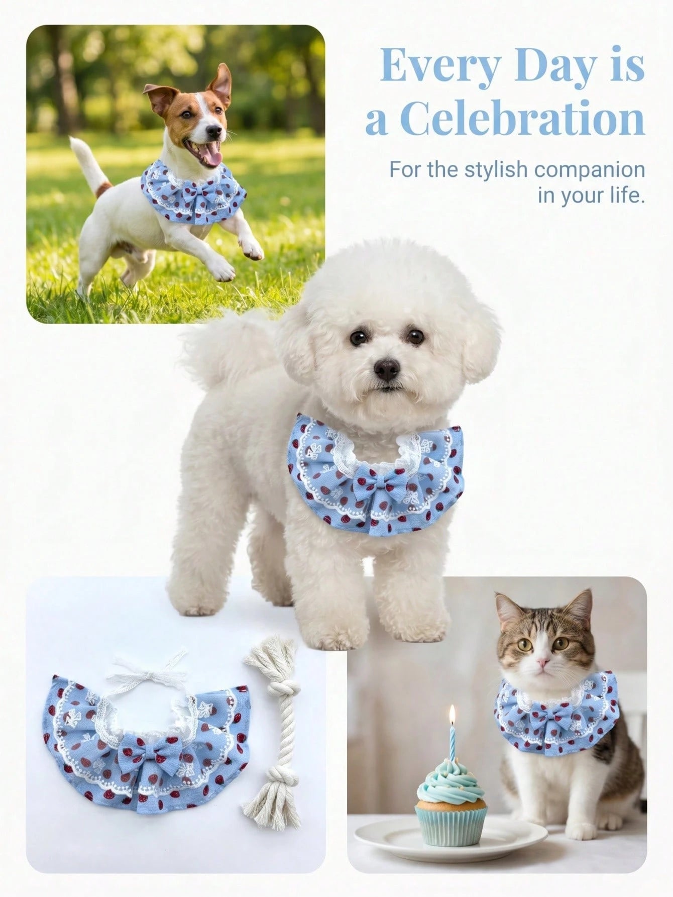 Pet Birthday Hat and Bib Set | Cute Cat & Dog Birthday Party Outfit