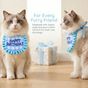 Pet Birthday Hat and Bib Set | Cute Cat & Dog Birthday Party Outfit