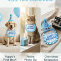 Pet Birthday Hat and Bib Set | Cute Cat & Dog Birthday Party Outfit