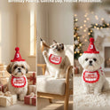 Pet Birthday Hat and Bib Set | Cute Cat & Dog Birthday Party Outfit
